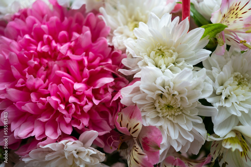 background with flowers. Peonies bouquet macro photo. Panel with flowers.