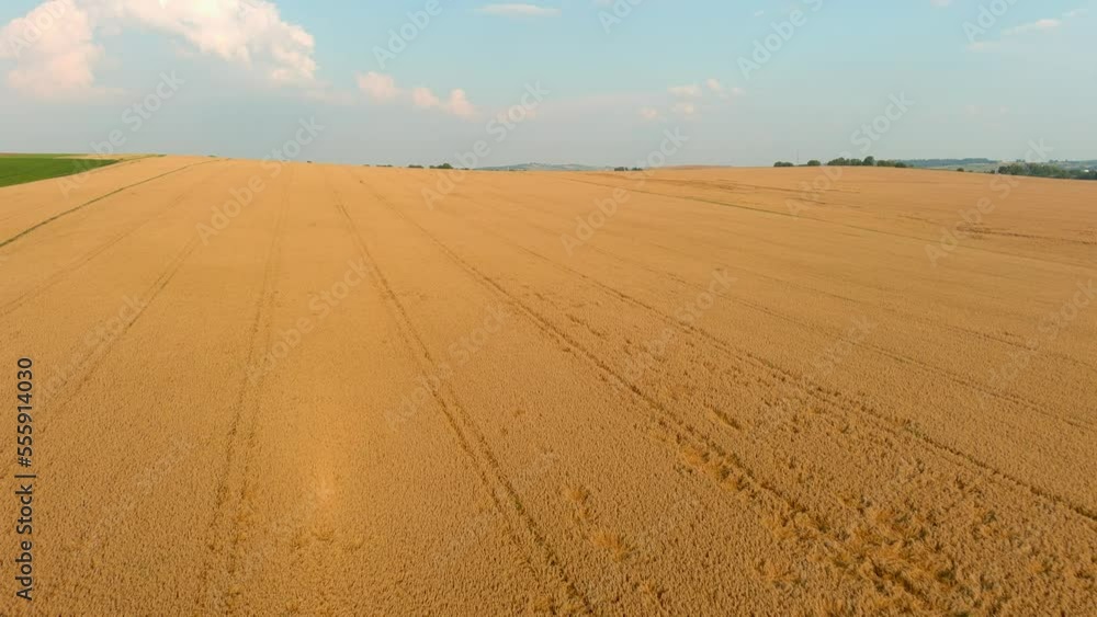 Aerial view of countryside fields on sunny summer day Aerial view of countryside fields on sunny summer day