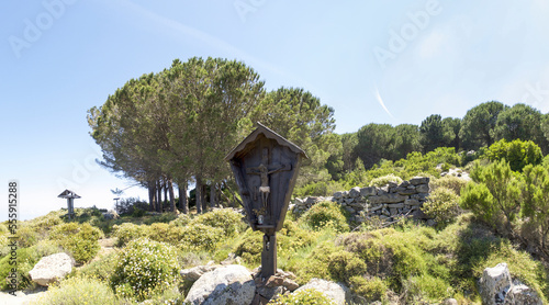 inland areas with Mediterranean vegetation photo