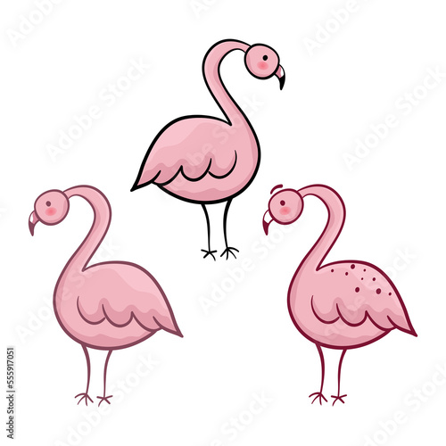 cute flamingo birds illustration .