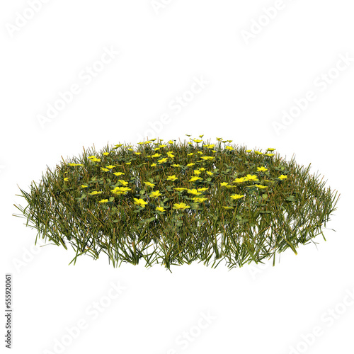 Front view of Plant ( Yellow Flowers Lawn 3) Tree png