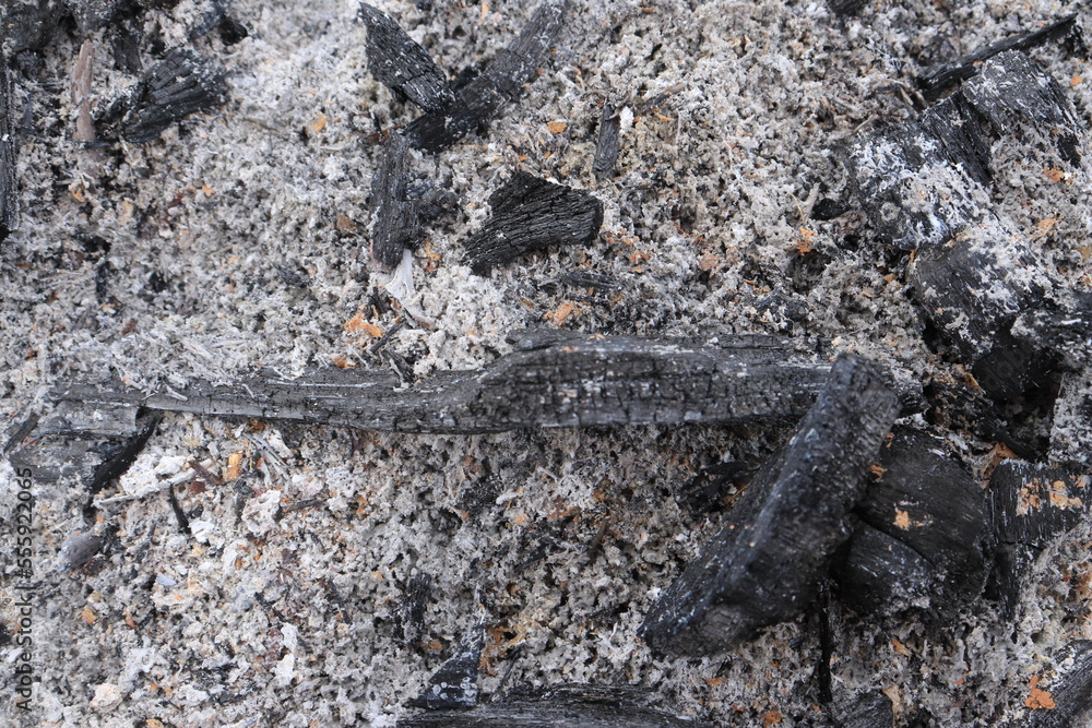 Background of burning wood ashes and charcoal
Background of burning wood ashes and charcoal