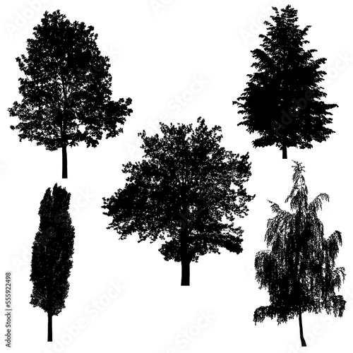 Set of silhouettes of trees on white background.