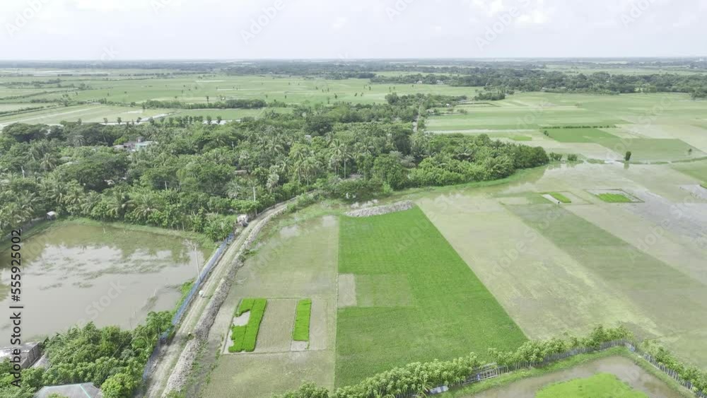 view of course in the country, Hlg log Aerial smooth raw video footage view of course in the country, Hlg log Aerial smooth raw video footage
