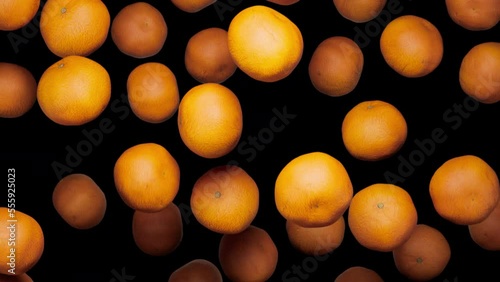 Looping animation of clementine oranges falling on an alpha transparent background.