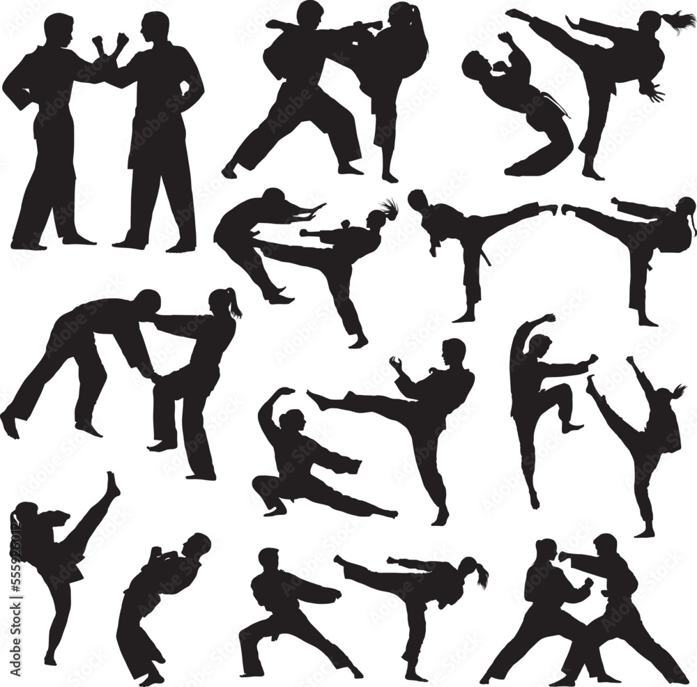 couple exercising karate