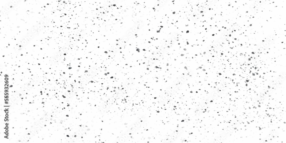 Old grunge weathered wall background. Black and white abstract texture. Background of cracks, scuffs, chips, stains, ink spots, lines. Dark design background surface. Gray printing element Old grunge weathered wall background. Black and white abstract texture. Background of cracks, scuffs, chips, stains, ink spots, lines. Dark design background surface. Gray printing element