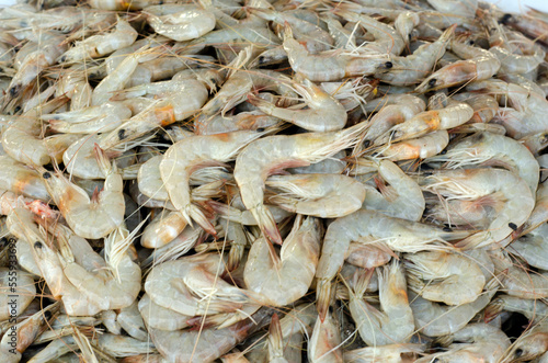 Fresh raw wet prawns in the fish market 