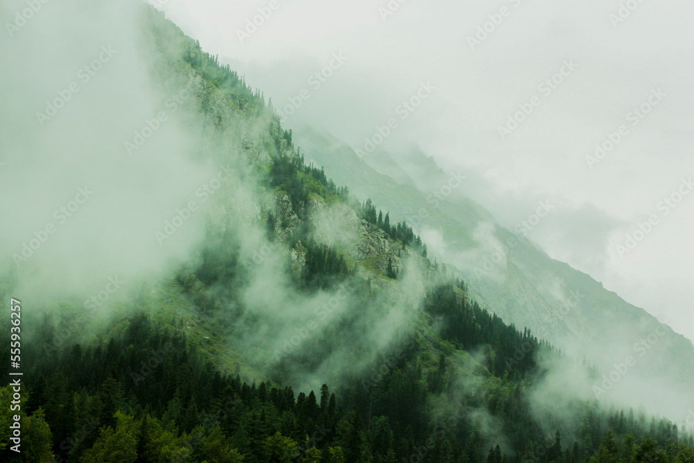 beautiful misty foggy mountain landscape