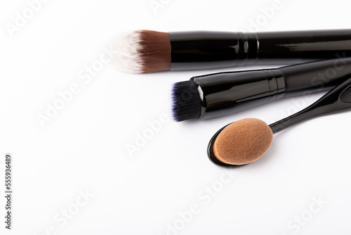 Makeup brushes isolated on white background. Visagiste.