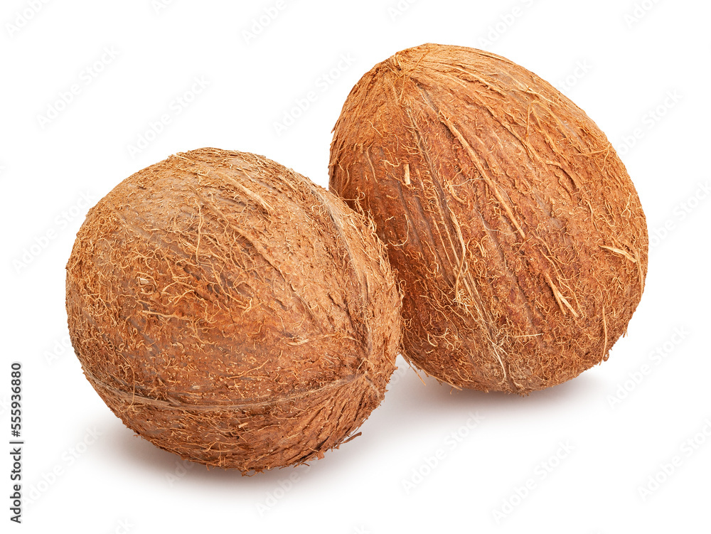 coconut path isolated on white coconut path isolated on white