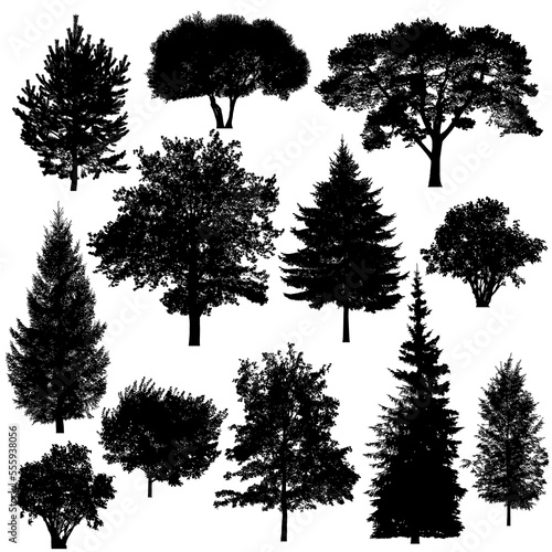 Set of silhouettes of deciduous and coniferous trees on white background.
