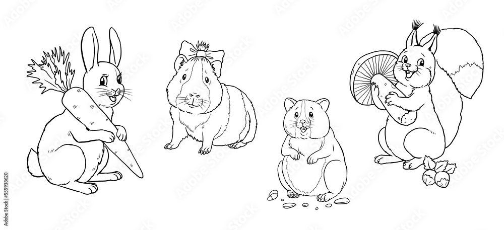 Obraz premium Cute rabbit, squirrel, hamster and guinea pig to color in. Template for a coloring book with funny animals. Coloring template for kids.