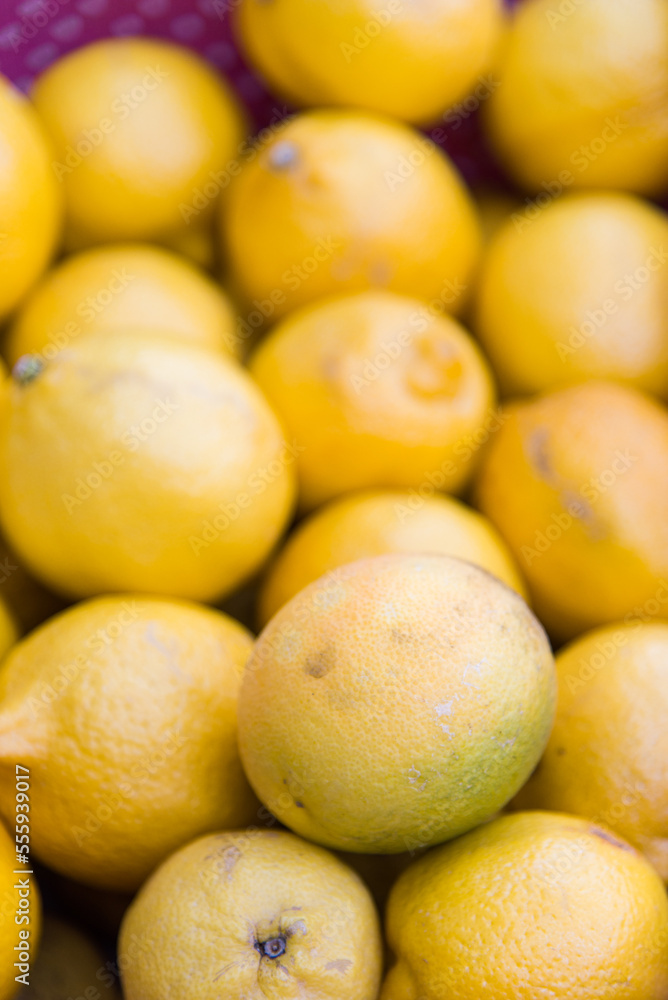 des citrons dans une panière violette. Des agrumes dans un panier violet. Des citrons naturels. Des citrons de Collioure. De nombreux citrons. un étals de citrons. Apport de vitamine C des citrons dans une panière violette. Des agrumes dans un panier violet. Des citrons naturels. Des citrons de Collioure. De nombreux citrons. un étals de citrons. Apport de vitamine C