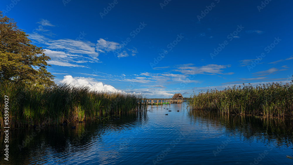 Fototapeta premium Am Hemmelsdorfer See