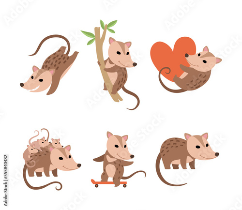Cute Opossum Animal Engaged in Different Activity Vector Set