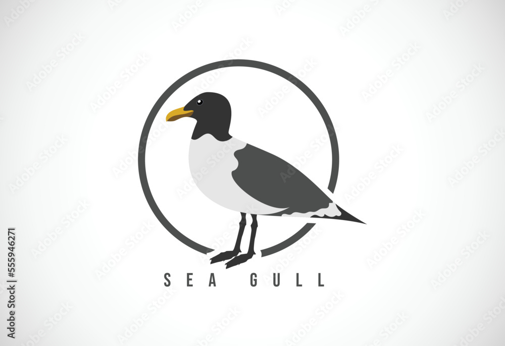Sea Gull in a circle. Sea Gull logo design template vector illustration Sea Gull in a circle. Sea Gull logo design template vector illustration