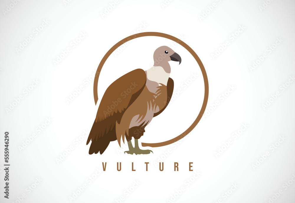 Fototapeta premium Vulture bird in a circle. Vulture bird logo design template vector illustration