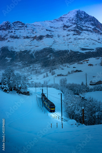 Zug, Schneelandschaft, Grindelwand, Schweiz