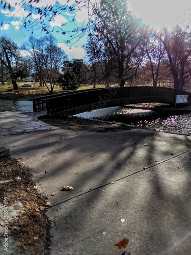 autumn in the park