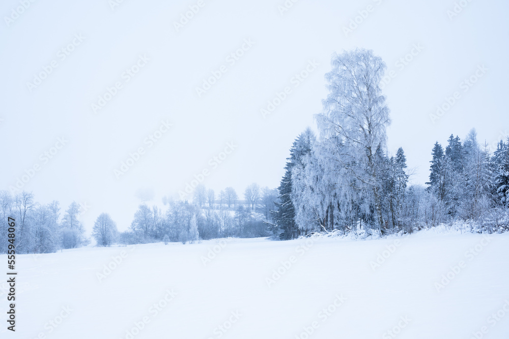 Fototapeta premium Winter landscape covered in snow and frost, highlands landscape with trees and meadows