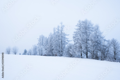 Winter landscape covered in snow and frost, highlands landscape with trees and meadows