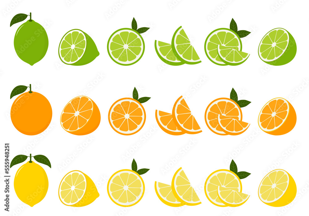 Big vector set of citrus fruits.Orange,lemon and lime icons on white background