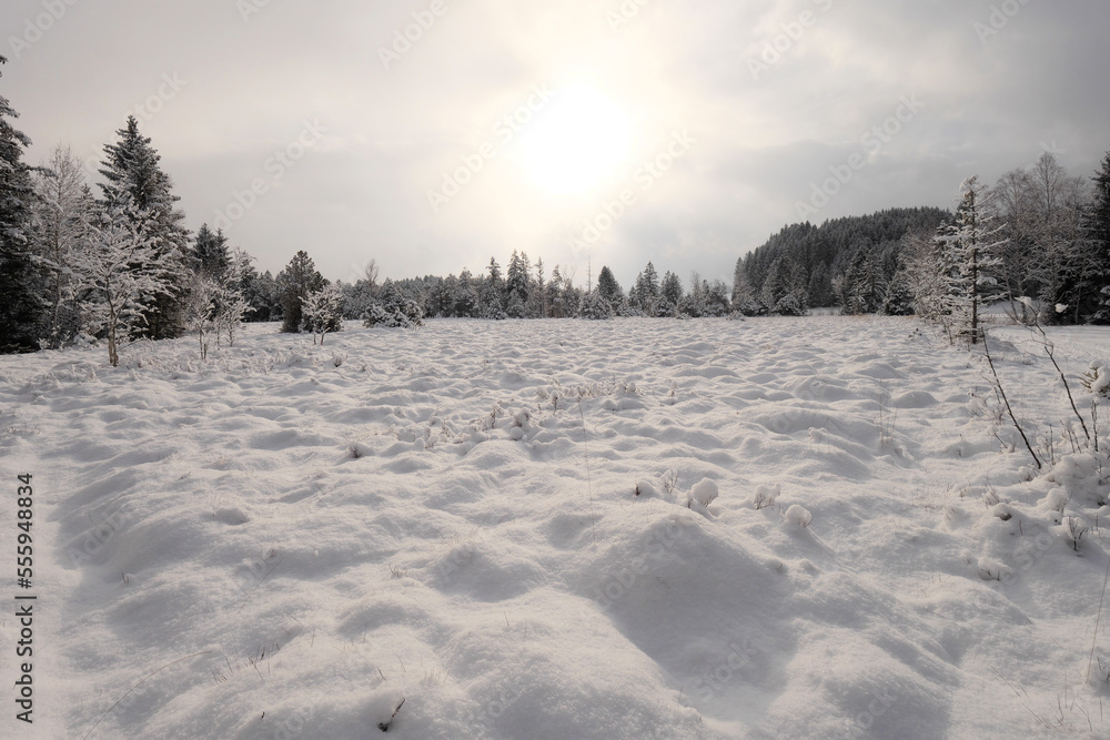 Winterlandschaft im Tiefenberger Moos. Winterlandschaft im Tiefenberger Moos.