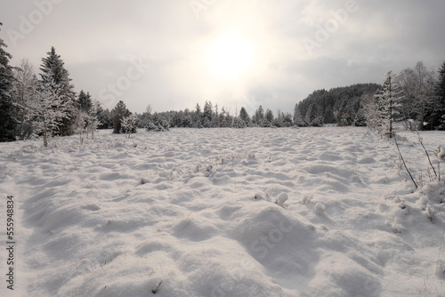 Winterlandschaft im Tiefenberger Moos.