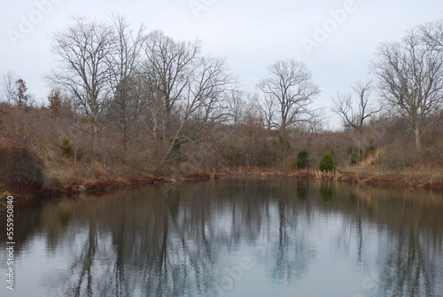 Pond In Louisville Kentucky Fall 2022