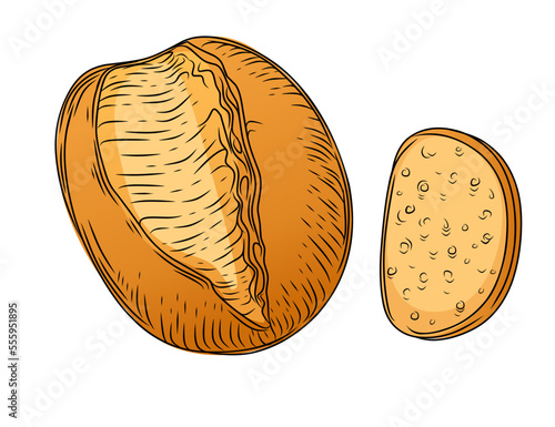 Fresh tasty white bread hand drawn style vector illustration isolated on white background