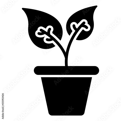 A premium download icon of  plant 