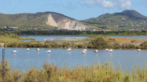 Estanque des Codolar, Parque Natural de las Salinas, San José, Ibiza, Islas Baleares