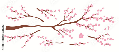 Sakura blossoms, cherry flowers, tree branch, floral design elements collection, clipart set, isolated on white. Hand drawn vector illustration. Modern flat style. Spring promotion, sale, advertising