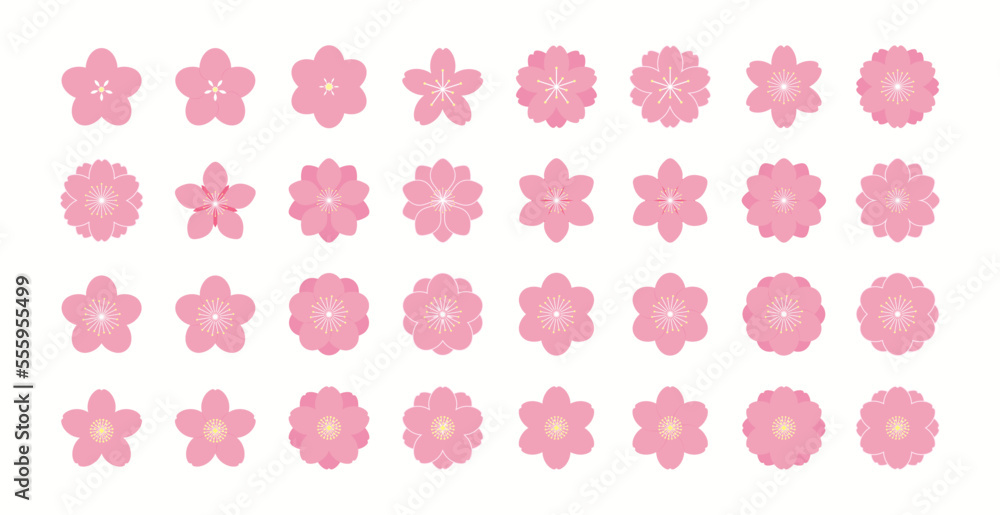 Sakura, cherry, plum, apricot, peach, apple blossoms, flowers, floral design elements collection, clipart set, isolated on white. Flat style vector illustration. Spring promotion sale advertising