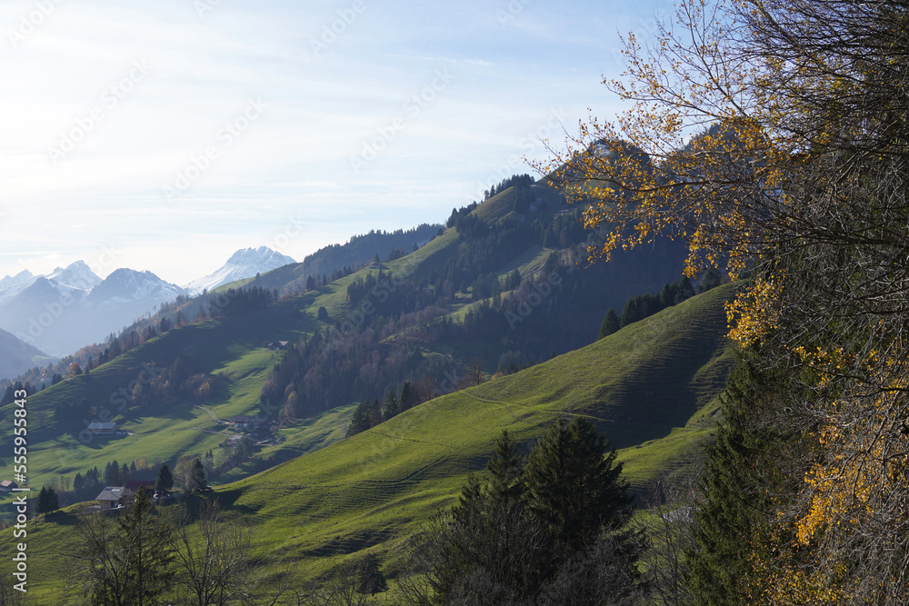 Naklejka premium Feuillage doré devant les montagnes