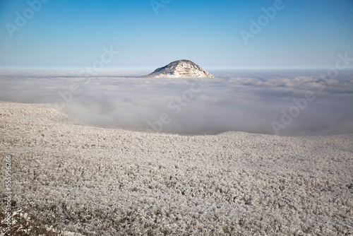 Mountain. Forest. Winter. Wild. 