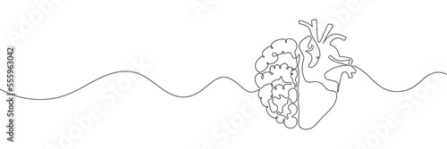 One line drawing of half of a human brain and a human heart. Vector illustration