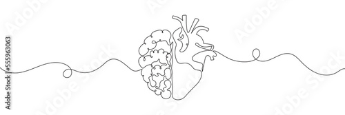 One line drawing of half of a human brain and a human heart. Vector illustration photo