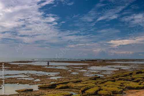 Man fishing on coral reefs during low tide.