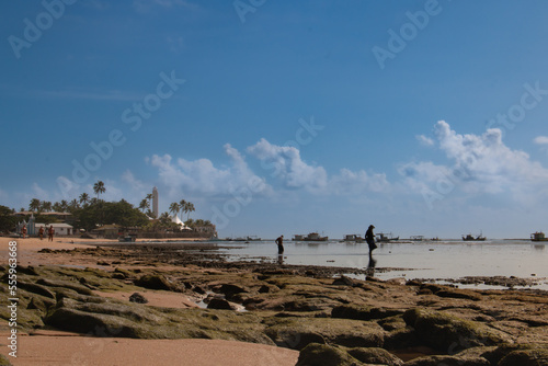 Artisanal fishermen looking for shellfish at low tide