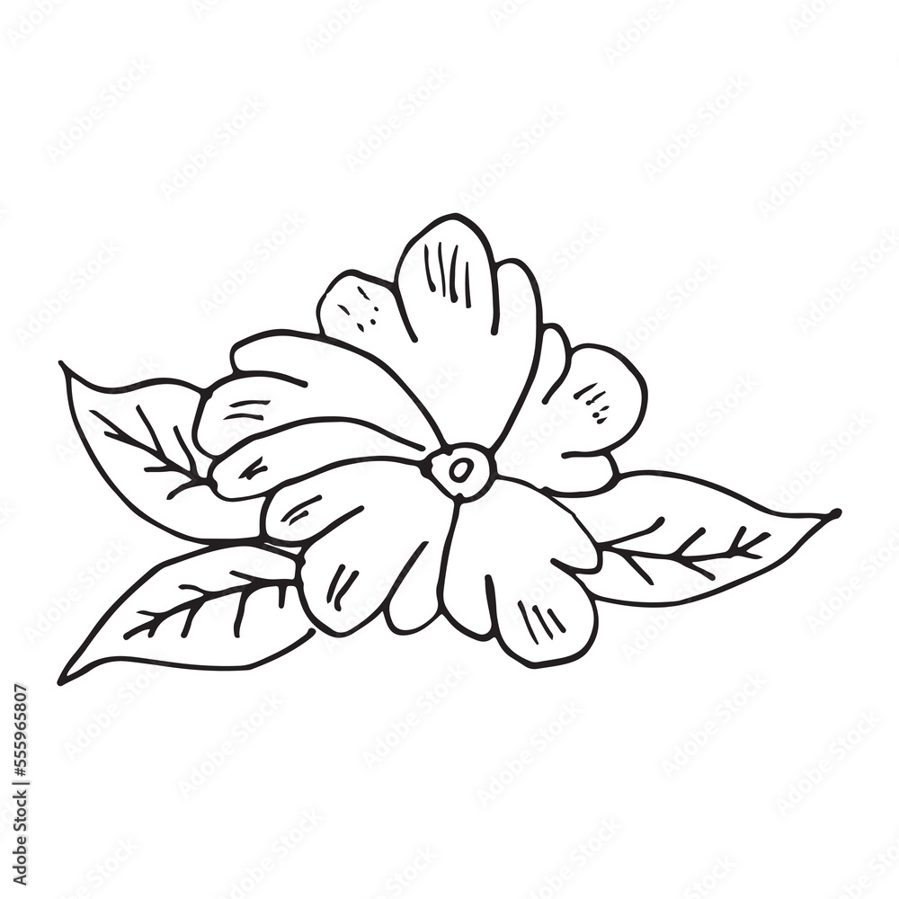 Flower hand drawn vector design template