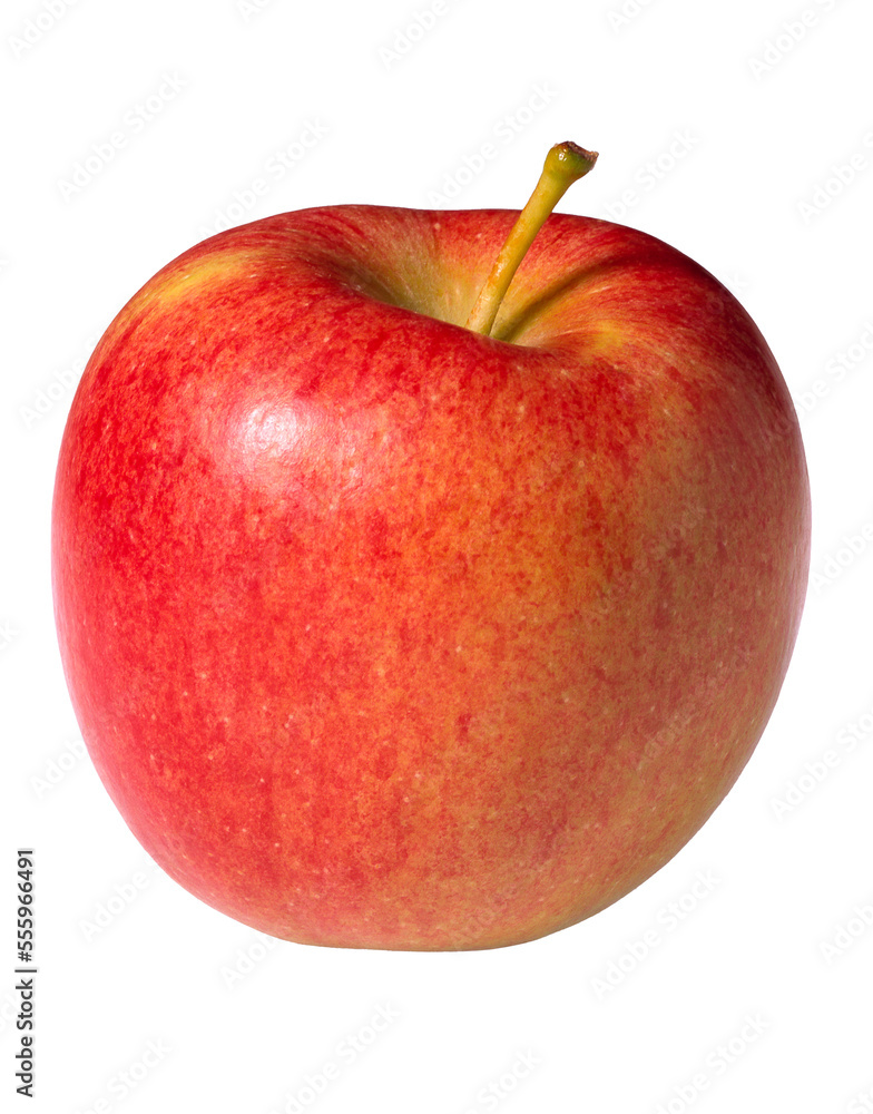 close-Up of an Apple close-Up of an Apple