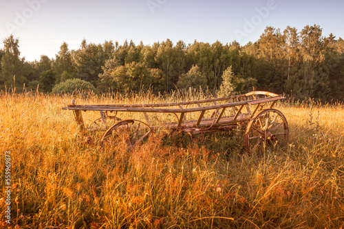 Fototapeta Naklejka Na Ścianę i Meble -  łąka