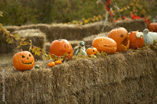 Jack-o-lanterns on Hay Bales, Toronto, Ontario, Canada photo