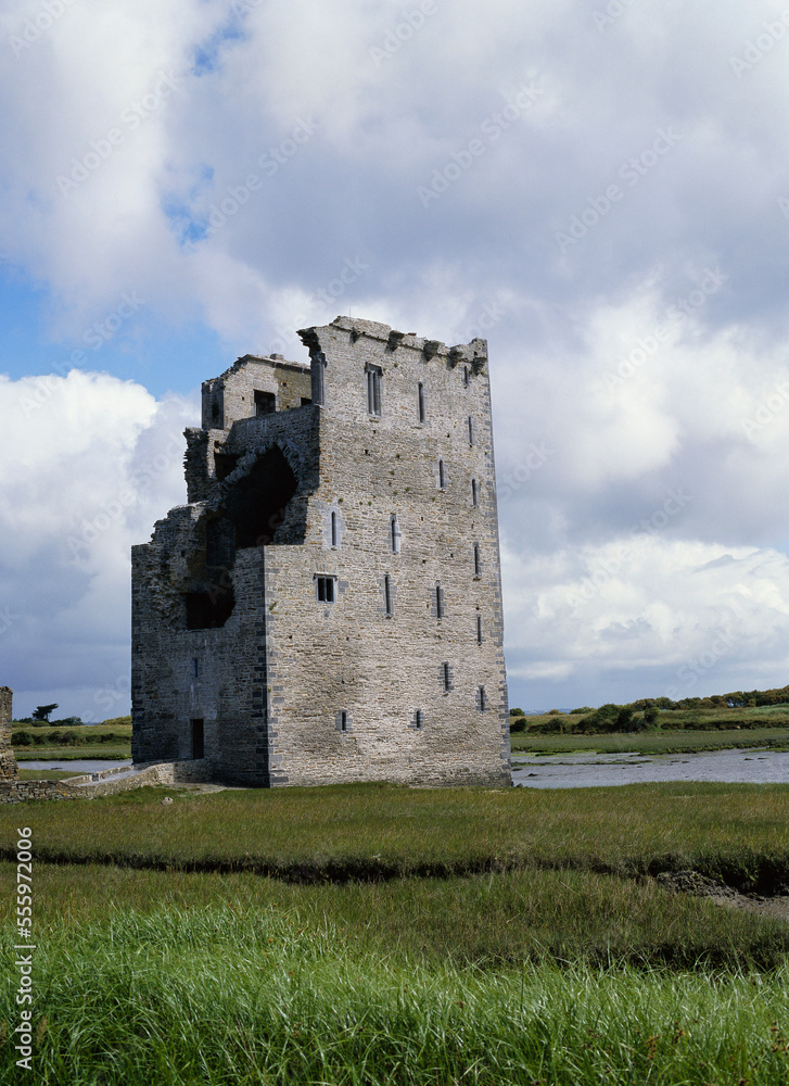 Carrigafoyle Castle, Ballylongford, Ireland Carrigafoyle Castle, Ballylongford, Ireland
