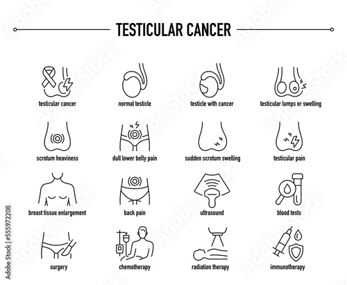 Testicular Cancer symptoms, diagnostic and treatment icon set. Line editable medical icons. photo