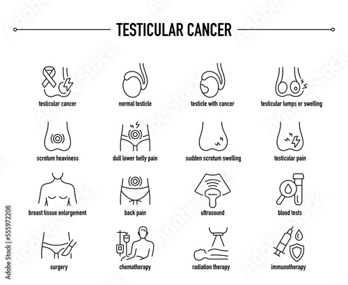 Testicular Cancer symptoms, diagnostic and treatment icon set. Line editable medical icons.
