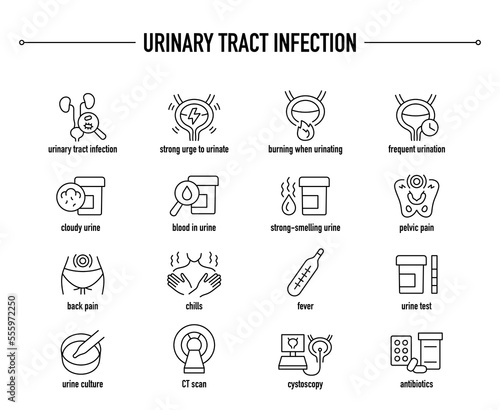 Urinary Tract Infection symptoms, diagnostic and treatment vector icon set. Line editable medical icons. photo