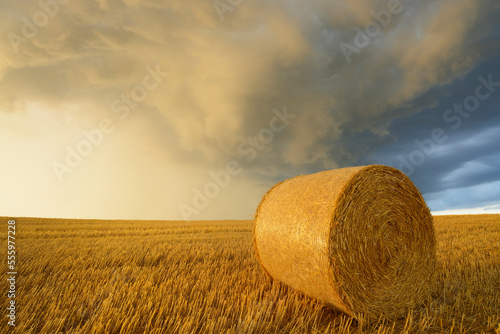 Straw rolls on stubblefield and rain clouds, Hesse, Germany, Europe
